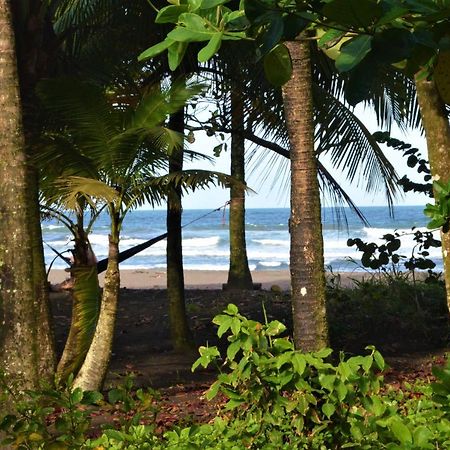 Hotel Pura Natura Beachfront 토르투게로 외부 사진